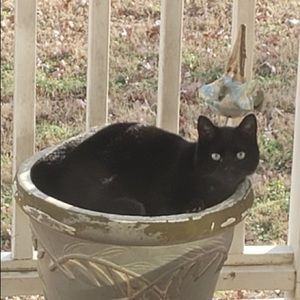 Meet your Posher, Carly